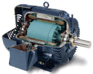 MOTOR  PRODUCT  INFORMATION